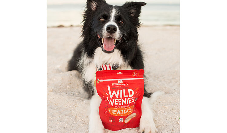 FR8 Lifestyle_Dog_BeefWildWeenies.jpg